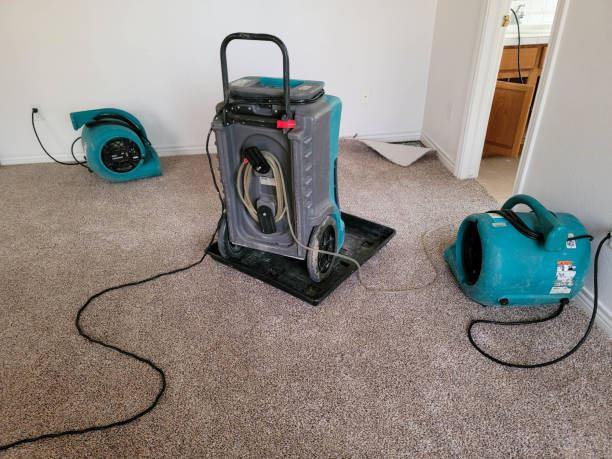 Best Basement water damage restoration  in Nash, TX