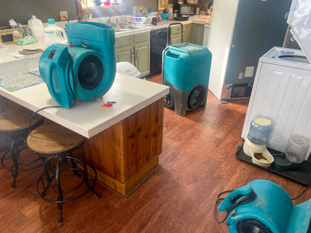 Best Flooded house restoration  in Nash, TX