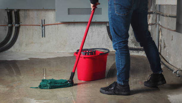 Best Water damage contractors near me  in Nash, TX