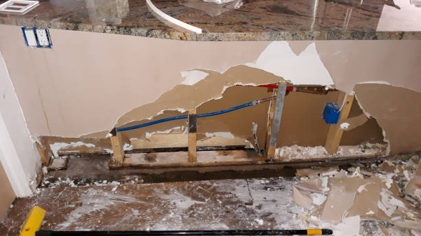 Best Sewage cleanup and water damage restoration  in Nash, TX