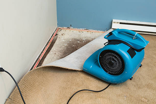 Best Water damage cleanup near me  in Nash, TX